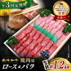 3回定期便 長崎和牛 焼肉 2種