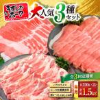 長崎うずしおポーク 大 3種