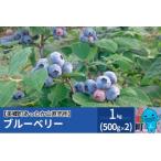 ブルーベリー 1kg