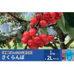 さくらんぼ 佐藤錦 1kg