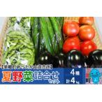 朝採り 夏野菜詰め合わせセット 4kg