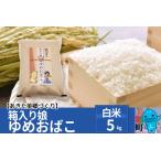 秋田県美郷町 白米　ふるさと納税 令和5年産 秋田県産 特別栽培米「箱入り娘 ゆめおばこ」5kg×1袋 秋田県美郷町