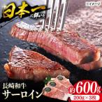 長崎和牛サーロインステーキ 600g