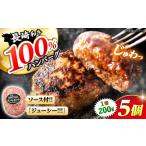 ハンバーグ 長崎和牛 5個