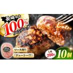 長崎和牛 ハンバーグ 10個
