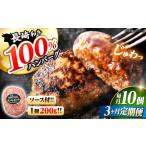 3回定期便 ハンバーグ 10個