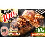 6回定期便 ハンバーグ 10個