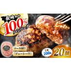 長崎和牛 ハンバーグ 20個