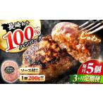 3回定期便 ハンバーグ 長崎和牛 5個
