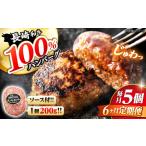 6回定期便 ハンバーグ 長崎和牛 5個