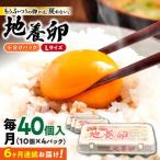 6回定期便 地養卵 Lサイズ 40個