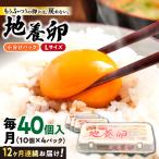地養卵 40個