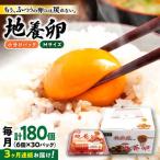 3回定期便 最高級 卵 Mサイズ 計180個