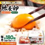 6回定期便 最高級 卵 Mサイズ 計180個