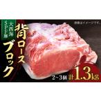 大西海SPF豚 背ロースブロック 訳あり