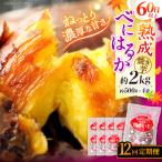 12回定期便 紅はるか 焼き芋 2kg