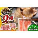 SPF豚 豚 2種