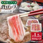 大西海SPF豚 焼肉 しゃぶしゃぶ 計1.2kg