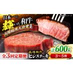 3回定期便 長崎和牛 ヒレステーキ 計600g