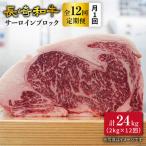 12回定期便 長崎和牛 サーロイン 約2kg