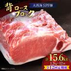 12回定期便 大西海SPF豚 背ロースブロック 計1.3kg