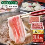大西海SPF豚 バラ 焼肉&しゃぶしゃぶ用 計1.2kg