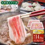 12回定期便 大西海SPF豚 肩ロース しゃぶしゃぶ用 計1.2kg