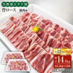 12回定期便 大西海SPF豚 背ロース 焼肉 計1.2kg