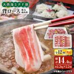 大西海SPF豚 背ロース 焼肉&しゃぶしゃぶ用 計1.2kg