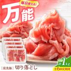 6回定期便 豚肉 切り落とし 1kg