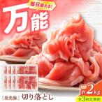 3回定期便 豚肉 切り落とし 2kg