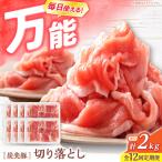 12回定期便 豚肉 切り落とし 2kg