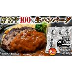 プレミアム 生ハンバーグ 120g×6個入り