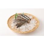 阿蘇から届く かわべの湧水やまめ 内臓処理済8匹