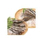 阿蘇から届く かわべの湧水やまめ 内臓処理済8匹 串8匹