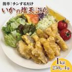 國洋 イカの塩天ぷら 1kg