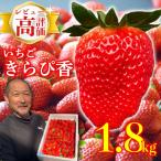 完熟 いちご きらぴ香 1.8kg