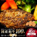 塩で食べるやわらかハンバーグ 5個