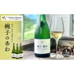 ワイン 椀子オムニス 赤 フルボディ 750ml