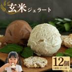 玄米ジェラート12個 ヴィーガン アイス