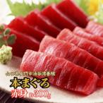1095 マグロ 本マグロ まぐろ 鮪 油谷産