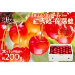 ふるさと納税 さくらんぼ 2L〜3L 【先行予約】約200g 一段並 毎日農業記録賞 全国最優秀賞受賞 極上品大玉 佐藤錦 紅秀峰 やまなし GAP 認証 フ.. 山梨県北杜市