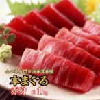 1356 マグロ 本マグロ まぐろ 鮪 油谷産
