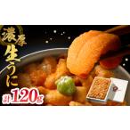 fu.... налог { лед температура ..} сырой ...( натуральный морской еж hemicentrotus ) 120g×1 листов .._110504 Hokkaido . средний блок 