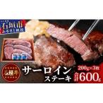 石垣牛 サーロインステーキ 200g×3枚