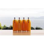 しまなみみかんジュースセット 温州みかんジュース500ml×2本