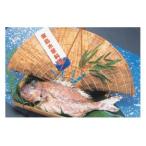 鯛の浜焼き 特上 漁業協同組合大浜支所