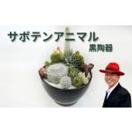 サボテンアニマル黒陶器 植物 グリーンインテリア