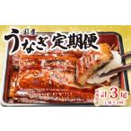 うなぎ蒲焼き 1尾