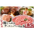産豚 ロース1kg&amp;チーズインハンバーグ5個